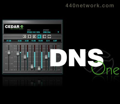 CEDAR Audio DNS One