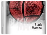 Virtual Instrument : Analogfactory Releases Black Mamba - pcmusic
