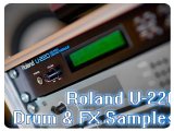 Instrument Virtuel : Martin78.com Lance Roland U-220 / U-20 Drum & fx Samples - pcmusic