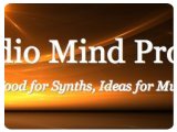 Instrument Virtuel : Audio Mind Project Lance Moonshine - pcmusic