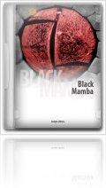 Virtual Instrument : Analogfactory Releases Black Mamba - macmusic