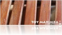 Instrument Virtuel : AudioThing Prsente Toy Marimba pour Kontakt - macmusic
